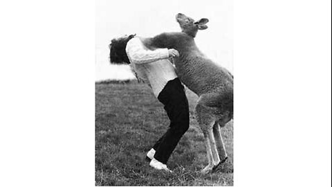 BIFF! Take that you stupid human!!