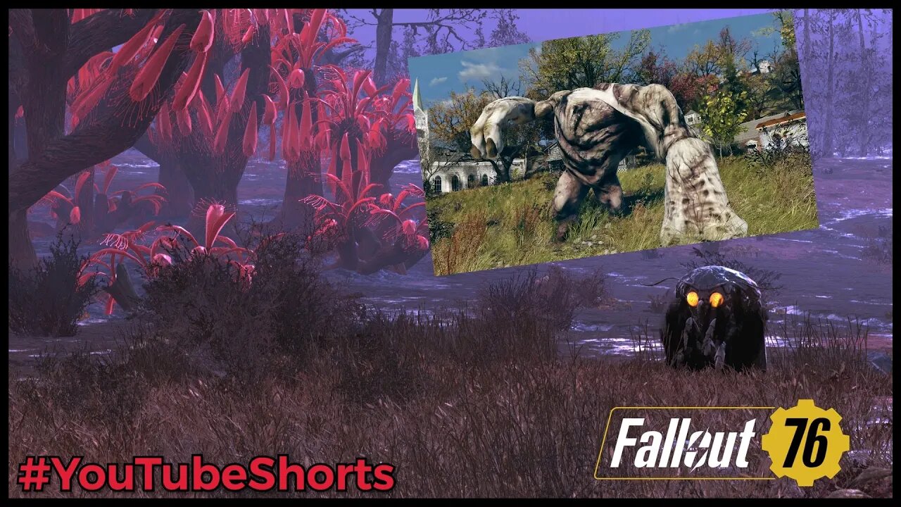 Fallout76 Grafton Monster Hunt | #YouTubeShorts