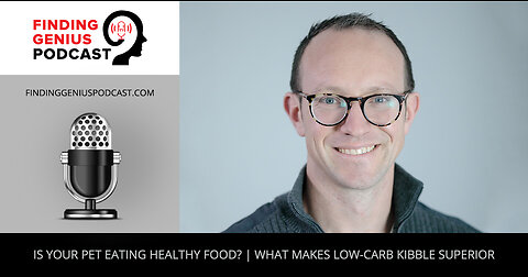 Is Your Pet Eating Healthy Food? | What Makes Low-Carb Kibble Superior