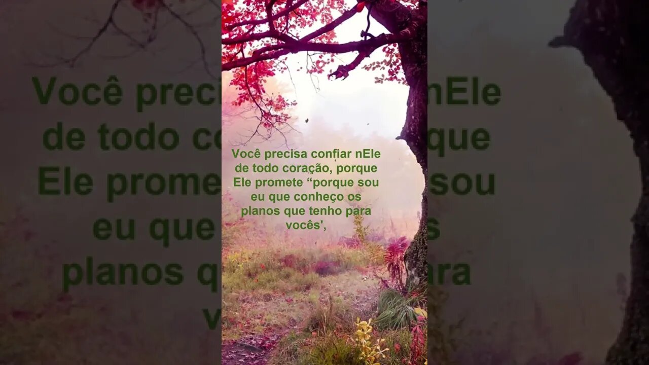 Ele sabe sobre o seu futuro | #MensagensdeReflexãodeDeus