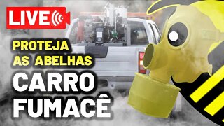 Vão passar o fumacê? Saiba como proteger as abelhas sem ferrão