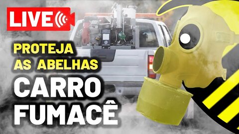 Vão passar o fumacê? Saiba como proteger as abelhas sem ferrão