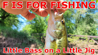 Little Bass on a Little Jig