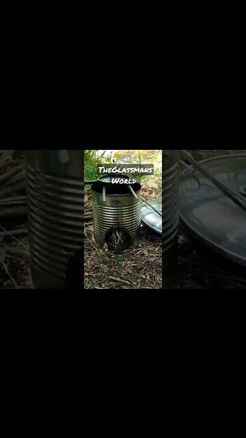 Welcome to TheGlassmansWorld! Help me reach 1k by May!