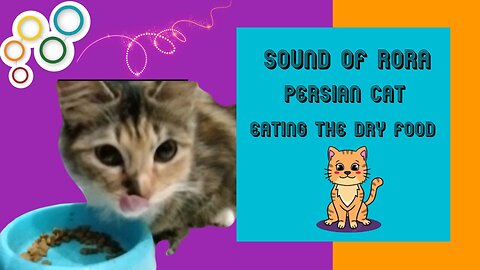 The sound of a persian cat named Rora, eating dry food.