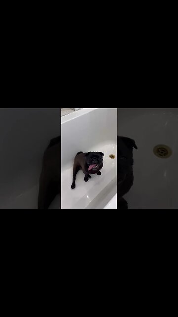 There's nothing better than stability that brings joy❤️ Hello! I am a housewife