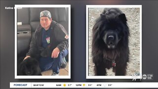 Tully's Tails: Meet Charlie