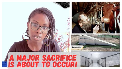A Major Sacrifice is About to Happen in "Israel"!
