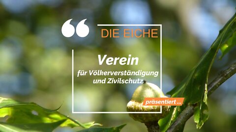 Der Eiche Infopoint: Wie denkt die Jugend? Habt ihr uns eigentlich noch auf dem Schirm? "Mundart"