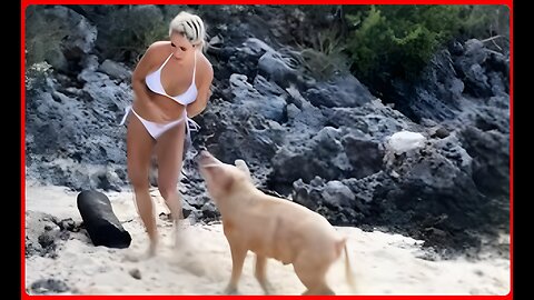 When Animals Go Crazy _ Funny Wild Animals Fails 2023