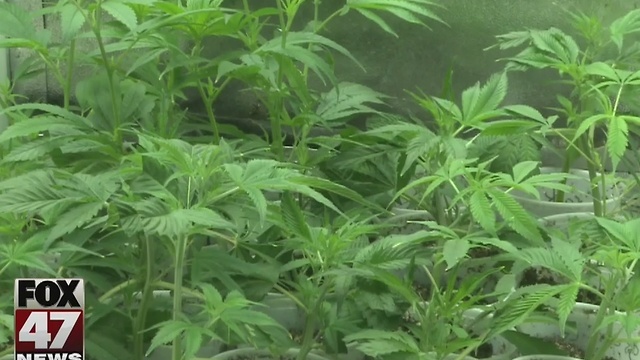 Marijuana seminar educates caregivers, patients