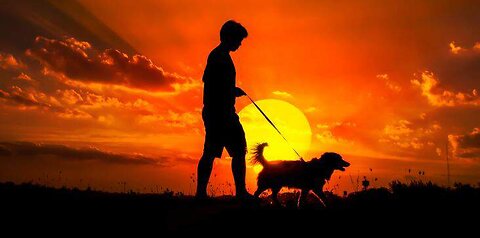 Taking & care dog.