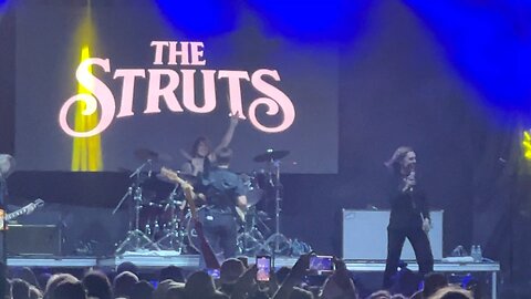 The Struts