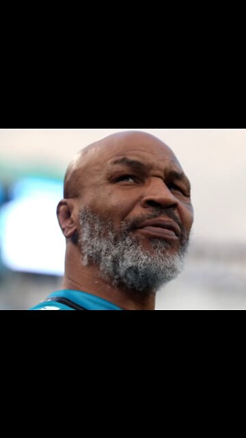 Mike Tyson repeatedly punched a passenger on a plane after becoming irritated by him