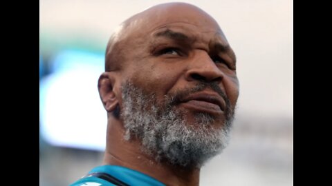 Mike Tyson repeatedly punched a passenger on a plane after becoming irritated by him