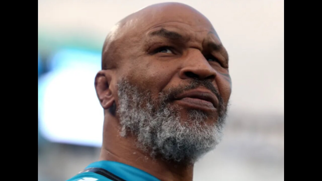 Mike Tyson repeatedly punched a passenger on a plane after becoming irritated by him
