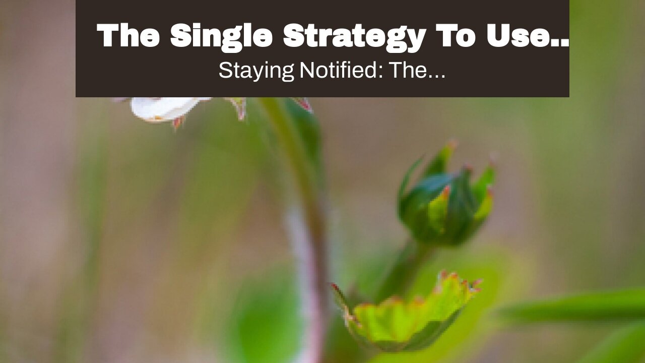 The Single Strategy To Use For "Why Gold Rate Investing is a Smart Financial Move"
