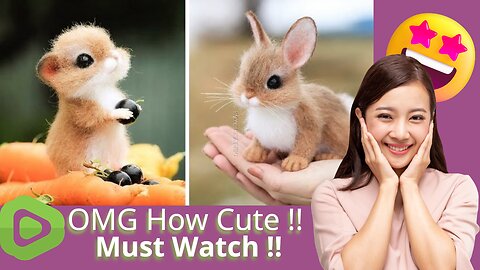 OMG How Cute....MUST WATCH !!