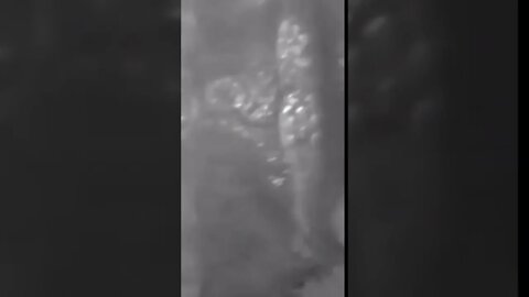 Home Invasion caught by Video doorbell! Part 1 * PITD #shorts
