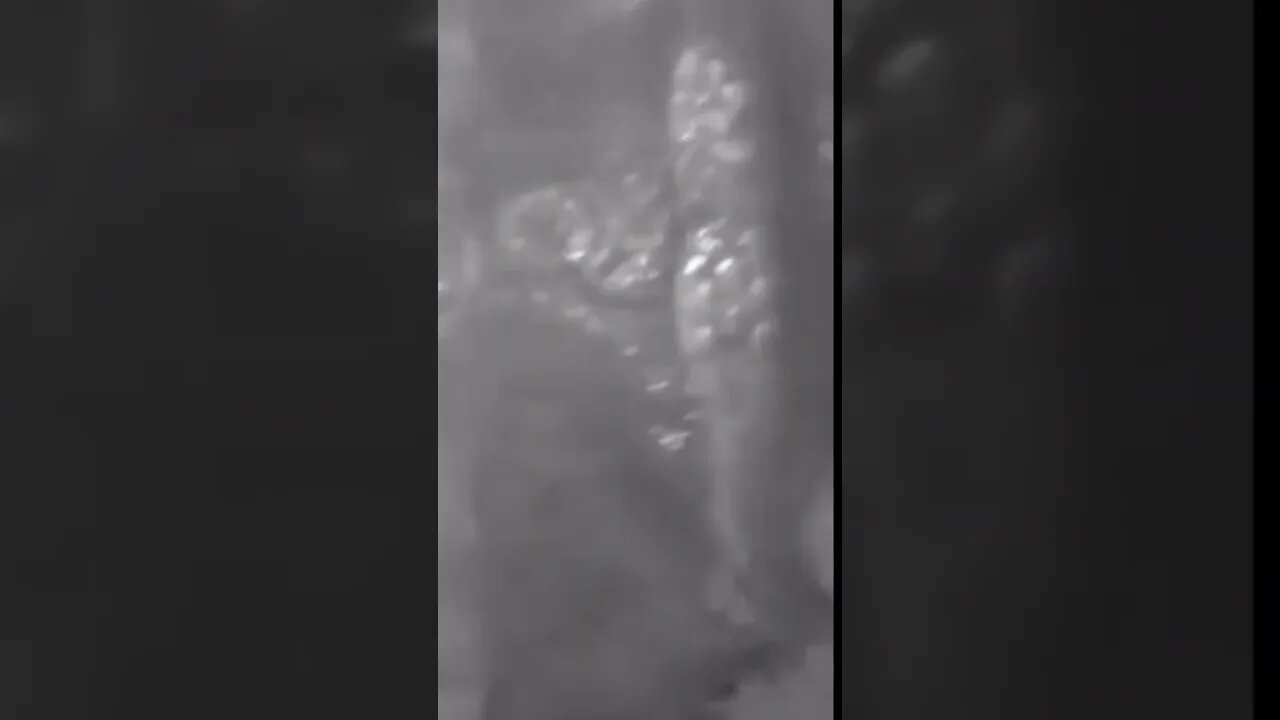 Home Invasion caught by Video doorbell! Part 1 * PITD #shorts