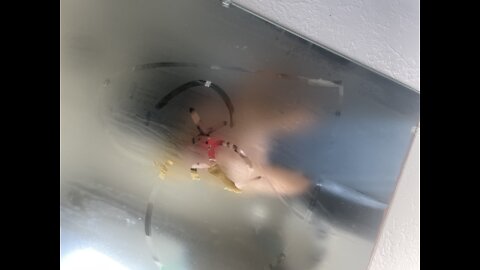 HOT BOX IN THE BATHROOM! 😱 *not clickbait*