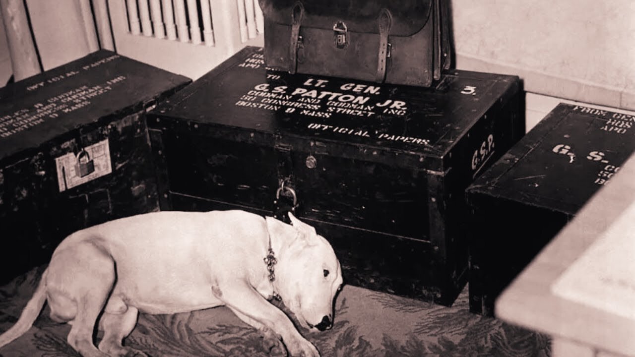 Patton’s Dog | Picture And Story