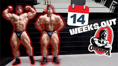 GOING BACK TO THE OLYMPIA!