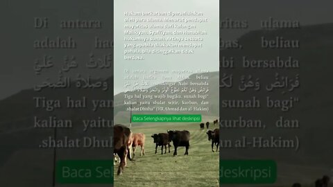 Orang Mampu tapi Tidak Berkurban menurut Hukum Islam #shorts #qurban2022
