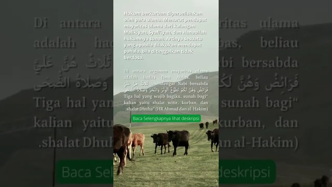 Orang Mampu tapi Tidak Berkurban menurut Hukum Islam #shorts #qurban2022