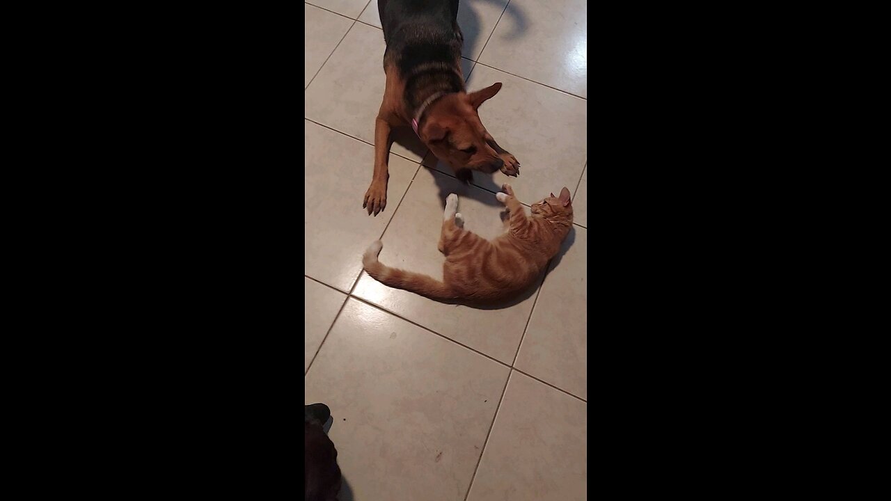Boots and Honey