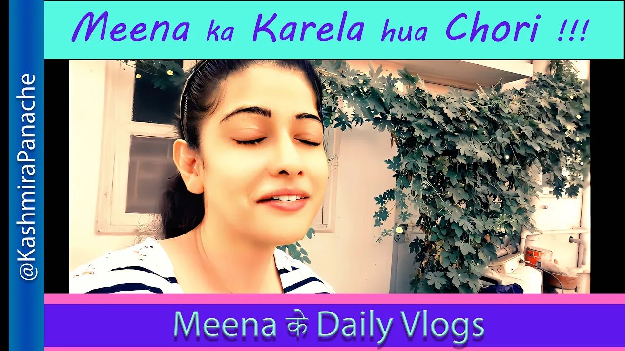 Karela bhi Koi Churata hai ??? | My new Vlog | हिंदी भाषा | #HindiVlogs #Meena
