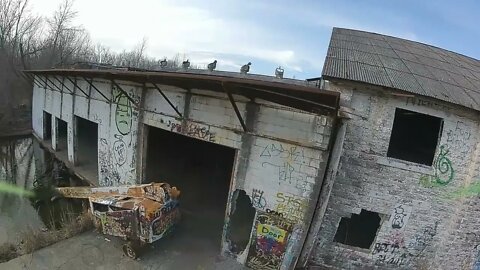 Factory Bando | FPV Freestyle