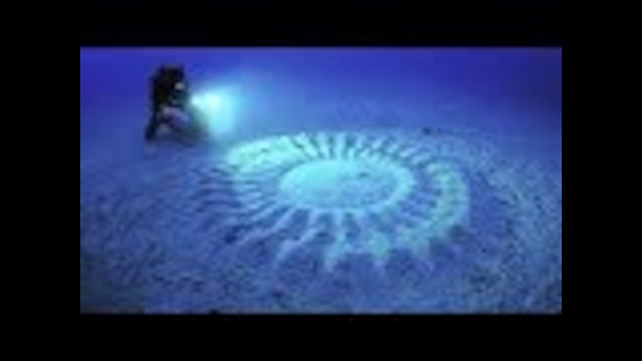 Scientists Discovered Mysterious Underwater “Crop Circles” – And Then They Saw What Had Made Them