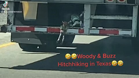 Woody and Buzz at the border 😂