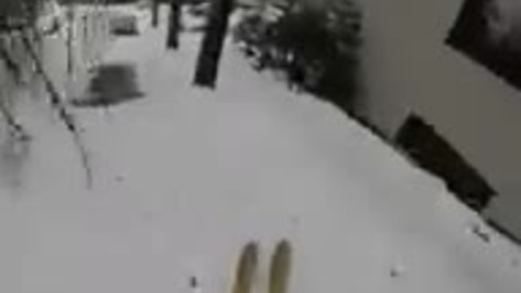 Epic downhill street skiing in Portland, Oregon