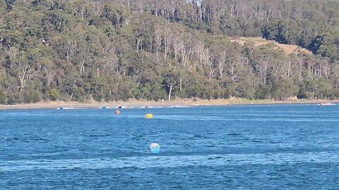 2024 Cock of The Mersey Power Boat Race #Palmers #Tasmaniapowerboats