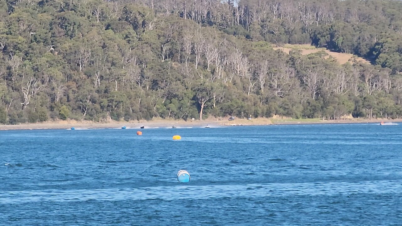 2024 Cock of The Mersey Power Boat Race #Palmers #Tasmaniapowerboats