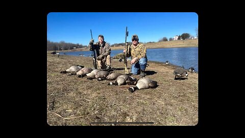 February Goose Hunt: Bagging 7 Honkers!