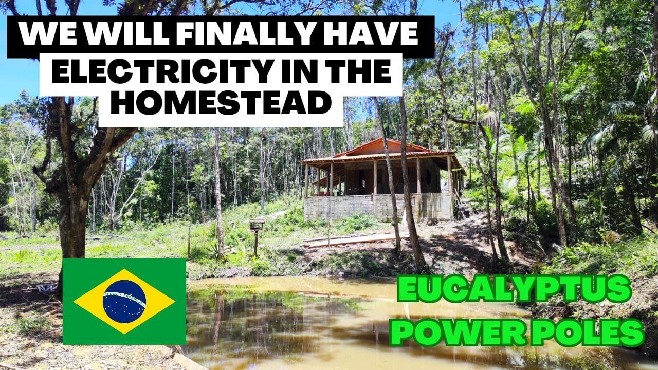 Bathroom Transformation: Applying Plastering Putty | Eucalyptus Power Poles for Electricity