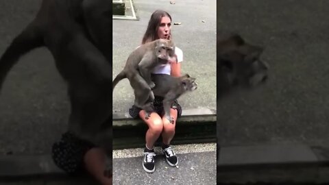 Make love 💖😂 #shorts