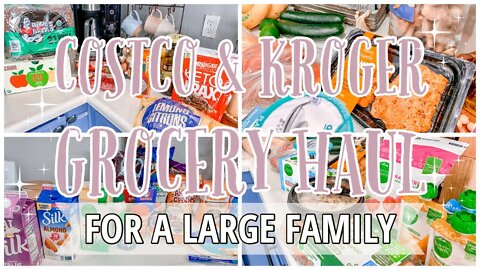 COSTCO & KROGER GROCERY HAUL FOR A LARGE FAMILY | GROCERIES FOR THE WEEK | HEALTHY ON A BUDGET