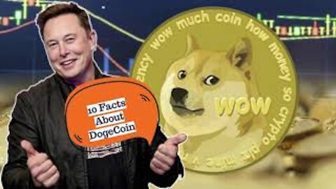 10 Facts About Cryptocurrency DOGECOIN - With a Bonus Fact