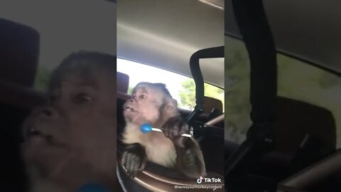 Bro, learn to share