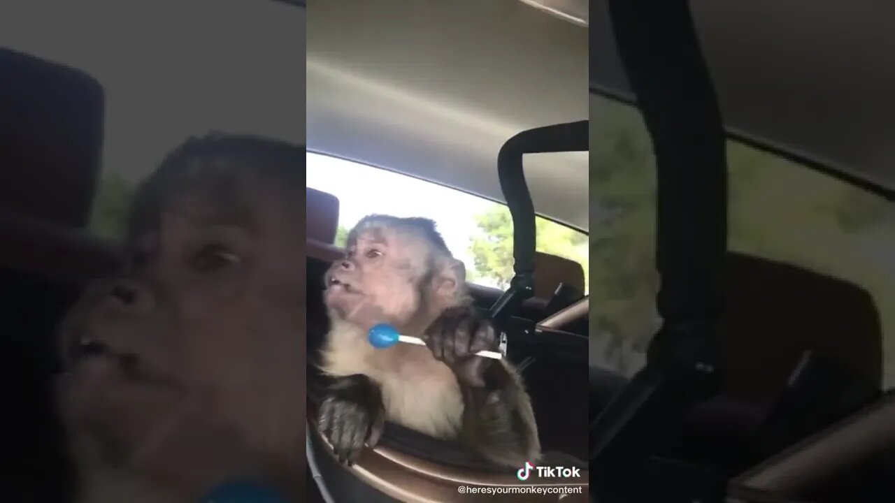 Bro, learn to share