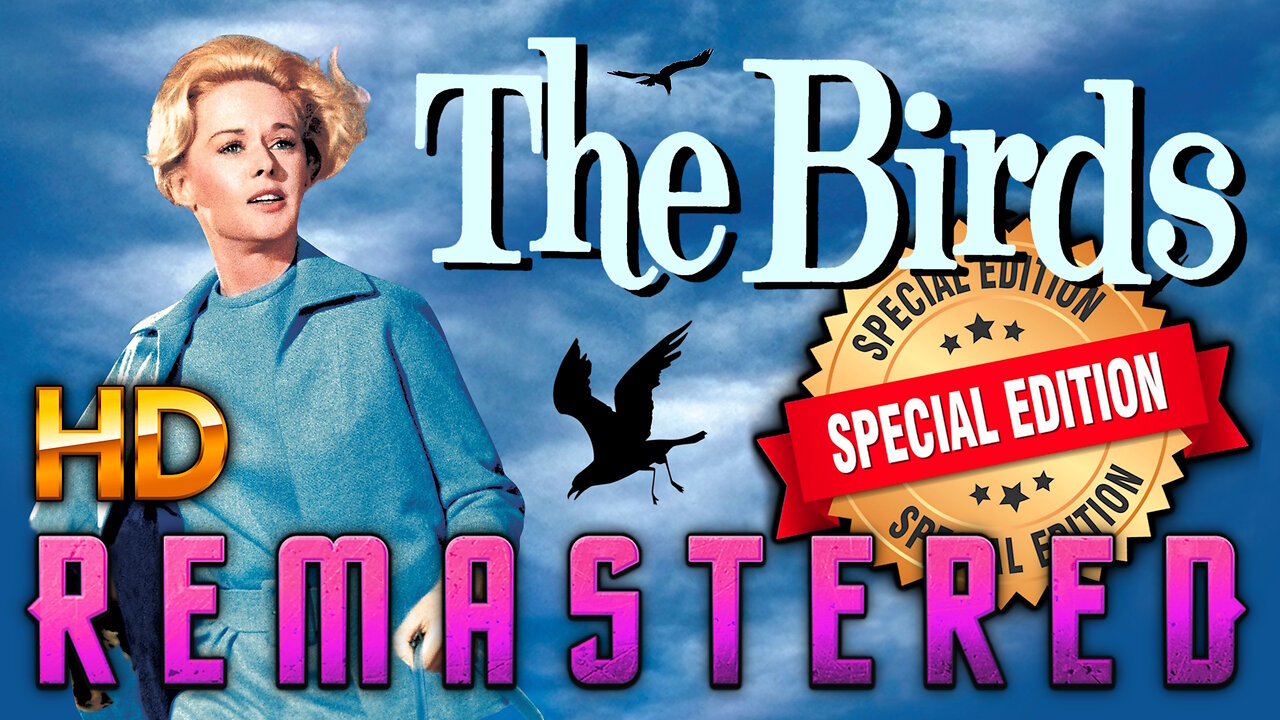 The Birds - AI REMASTERED - Horror Thriller Starring Rod Taylor and Tippi Hedren