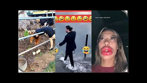 😀 Happy76 😂 funny videos compilation panks 🤣