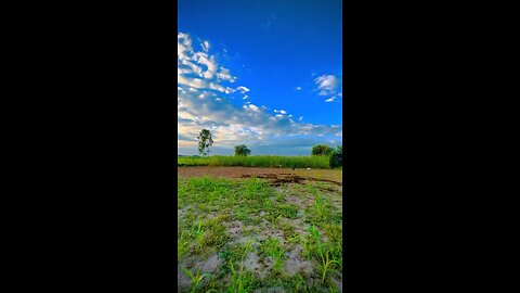 Village view