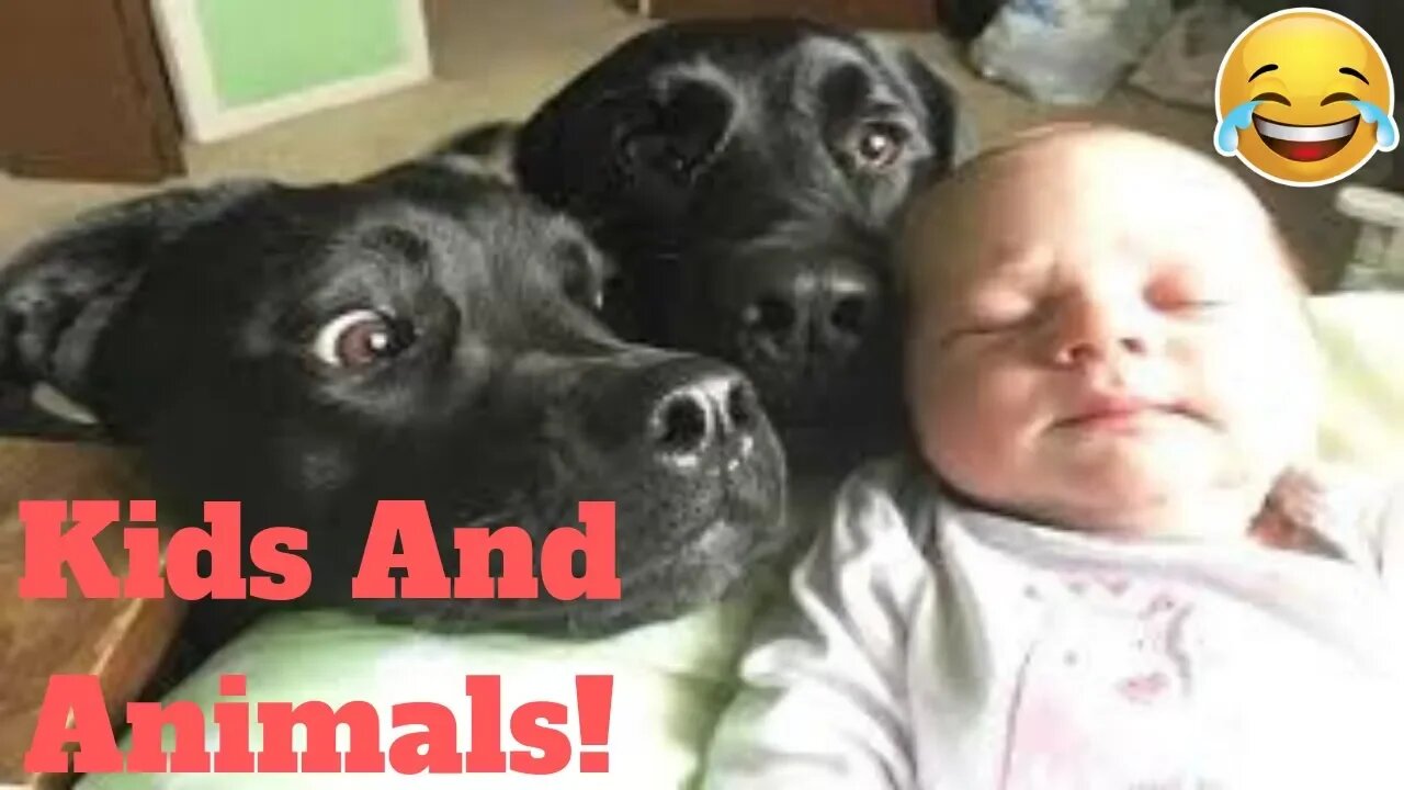 Funniest Pets Meet The Cutest Kids And Babies Weekly😂 of 2019_ Funny Animal Videos👌