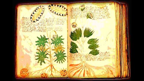 VOYNICH PARA DUMMIES : DESCIFRADO PT.1