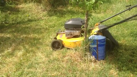 Manual spread of compost around the trees.